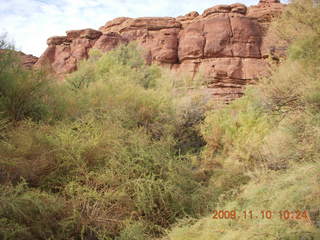 Lathrop trail hike - trees near Colorado River