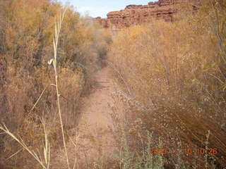 Lathrop trail hike