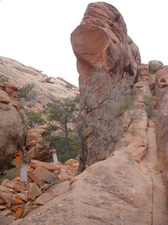 6 71c. Arches National Park - Devils Garden hike