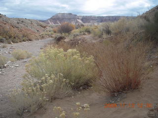 Little Wild Horse Pass slot-canyon hike