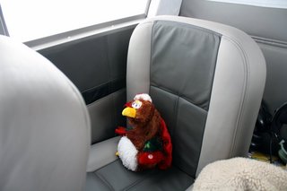 Sean's pictures - Kristina's turkey