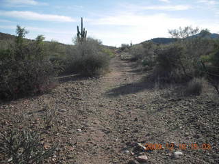 Red Creek hike