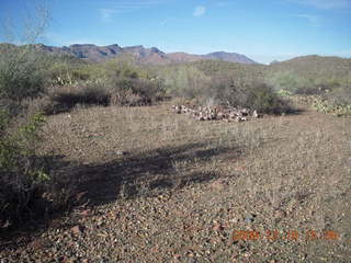 aerial - Beth's neighborhood in Cave Creek