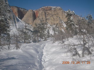 105 72q. Zion National Park - west rim hike