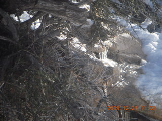 116 72q. Zion National Park - west rim hike