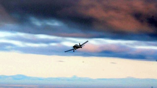 new spinner for N4372J