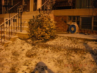 snow covered yard in Philly