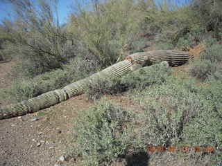 Bisbee breakfast - mine pit