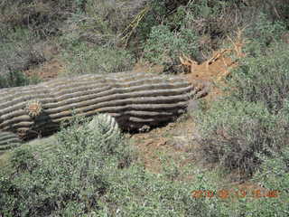 Bisbee breakfast - mine pit