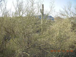 Bisbee Airport (P04) aerial