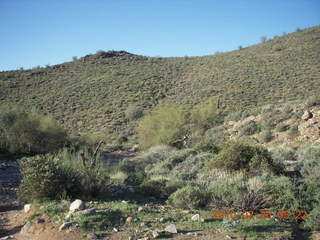 Lost Dog Wash run - green desert after a lot of rain