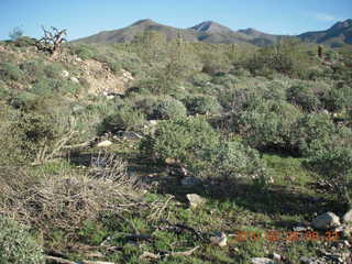 Lost Dog Wash run - green desert after a lot of rain