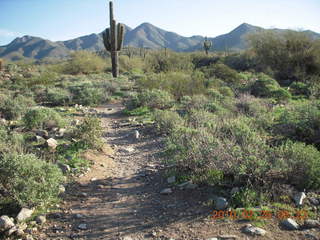 Lost Dog Wash run - green desert after a lot of rain