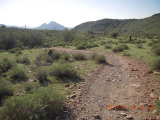 Lost Dog Wash run - green desert after a lot of rain