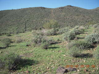 Lost Dog Wash run - green desert after a lot of rain