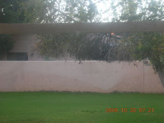 Scottsdale yard