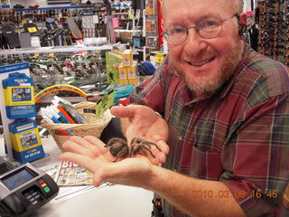 big spider at Big 5 Sporting Goods - Adam