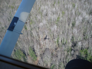 Charlie's pictures - Arlington flight - our shadow