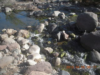 Metate Trail hike