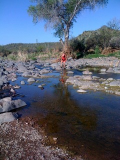 1175 765. Metate Trail hike - Steve's picture - Adam crossing