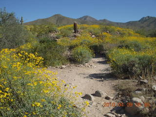 Lost Dog Wash hike