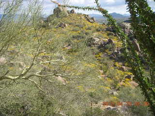 Pinnacle Peak hike