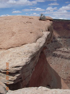 98 772. Dead Horse Point hike