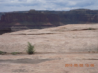147 772. Dead Horse Point hike