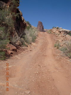 90 774. Canyonlands Lathrop Trail hike