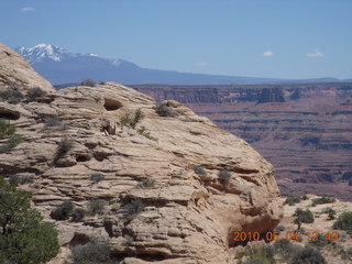 156 774. Canyonlands Lathrop Trail hike