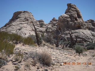 168 774. Canyonlands Lathrop Trail hike