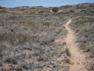 169 774. Canyonlands Lathrop Trail hike - running path