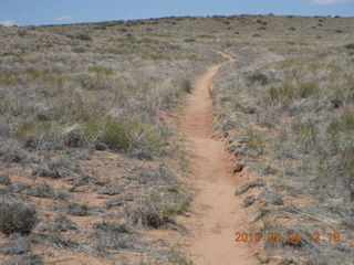 171 774. Canyonlands Lathrop Trail hike - running path