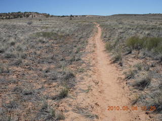 173 774. Canyonlands Lathrop Trail hike - running path