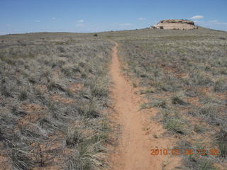 174 774. Canyonlands Lathrop Trail hike - running path