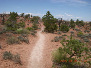 86 775. Canyonlands National Park Needles - Chesler Park hike