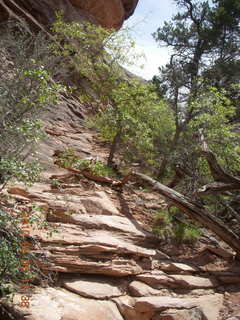 116 775. Canyonlands National Park Needles - Chesler Park hike
