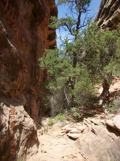 136 775. Canyonlands National Park Needles - Chesler Park hike
