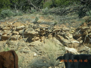 211 775. Canyonlands National Park Needles road back to Moab