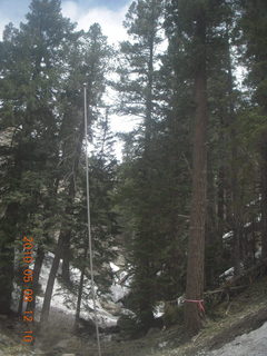 grocery store totem pole - drive up Mt. Graham - e