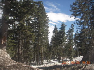 Vatican telescope at Mt. Graham - ladybug