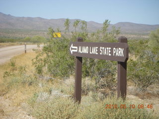 Alamo Lake run