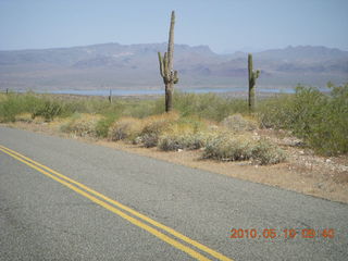 Alamo Lake run