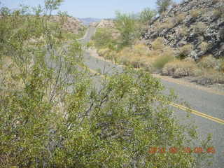 Alamo Lake run