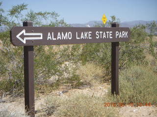 87 77a. Alamo Lake run