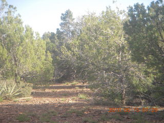 aerial - Alamo Lake area