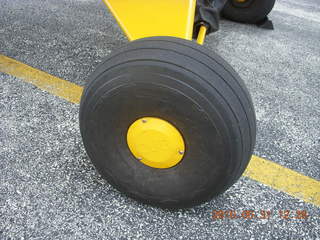 Neil's Piper Cub tire