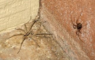 picnic - Erica, Mike, Sandy