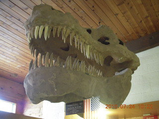 Grand Canyon Caverns (L37) trip - dinosaur skull