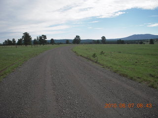 New Mexico back-country trip - Negrito run - flowers